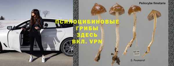 PSILOCYBIN Гусиноозёрск